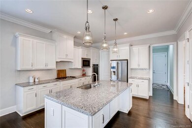 Chef's Kitchen with Granite Counter Tops, Custom C