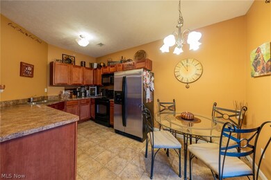 710 Aqua Marine Blvd unit 29, Avon Lake, OH 44012 - photo 6