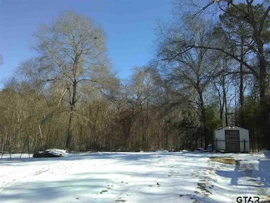 14631 County Road 2215, Tyler, TX 75707 - photo 4