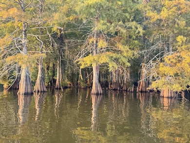 0 Timberland unit 11542662, Many, LA 71449 - photo 7