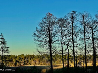 Mary Walker Bayou
