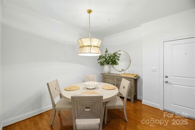 518 Clarice Ave unit 103, Charlotte, NC 28204 - photo 3