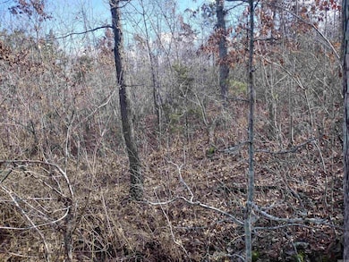 0000 Sunnyland Rd, Mountain View, AR 72560 - photo 7