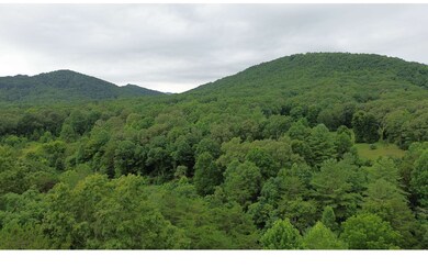 Additional View