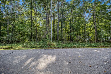 0 S Gull Lake Dr, South Gull Lake, MI 49083 - photo 4