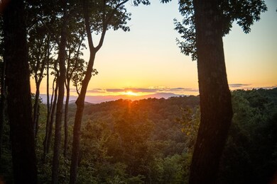 168 Rabbit Ridge Rd, Morganton, GA 30560 - photo 5