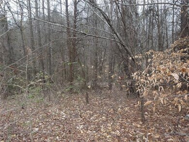 168 Watering Trough Rd, Statesville, NC 28677 - photo 7