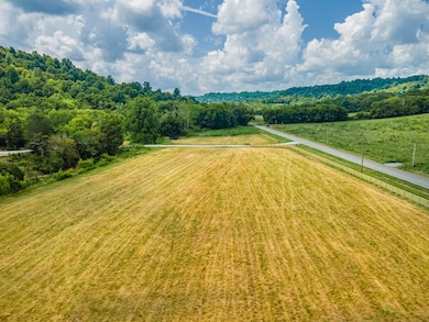 2970 Springplace Rd, Belfast, TN 37019 - photo 4