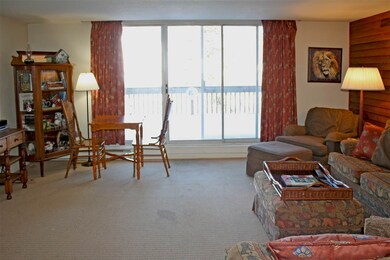 41 Upper Crossroad unit A5, Ludlow, VT 05149 - photo 3