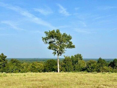 TBD Farm To Market 1002, Big Sandy, TX 75755 - photo 7