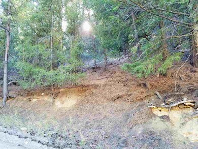 Lot 89 Wimsatt Loop, Cloudcroft, NM 88317 - photo 6