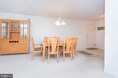 20356 Blue Point Dr unit 1203, Rehoboth Beach, DE 19971 - photo 7