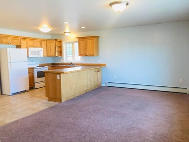 Living/Kitchen