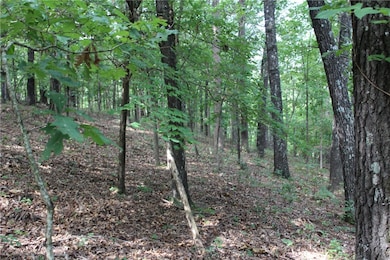 298 E Fox Creek Rd, Flint Creek, OK 74347 - photo 7