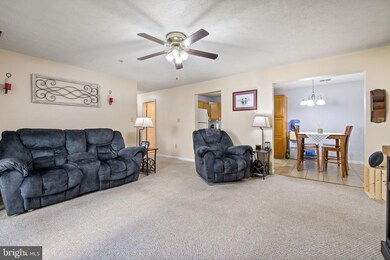 245 K3 Brandy Ct, Strasburg, VA 22657 - photo 5