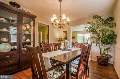 919 Croton Dr, Alexandria, VA 22308 - photo 5