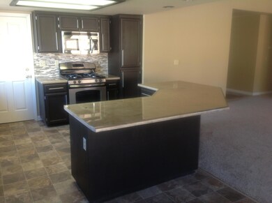 Wingsetter kitchen3