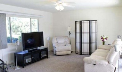 LIVING ROOM WITH TWO SIDED FIRE PLACE