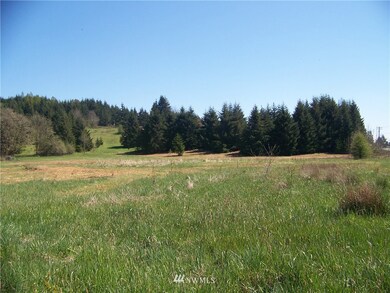 2951 Jackson Hwy, Chehalis, WA 98532 - photo 4