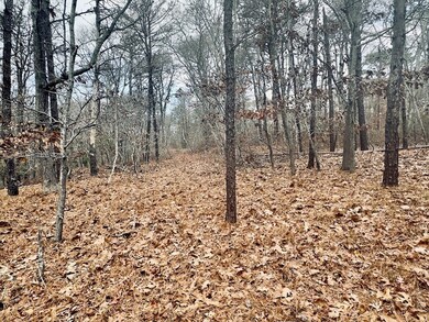 0 Paula Ave, Tisbury, MA 02568 - photo 4