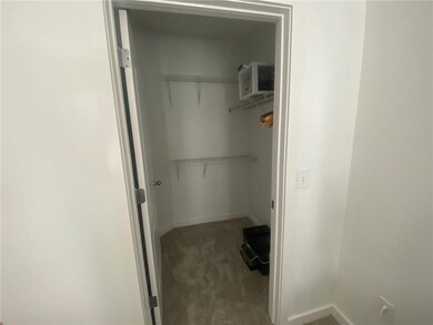 Spacious closet featuring carpet floors