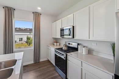 959 Sapphire Ln, Aurora, IL 60506 - photo 7