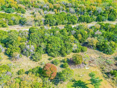 12140 Trailwood Dr, Whitney, TX 76692 - photo 6