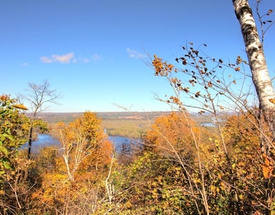 Lot 5 706th St, Pepin Township, MN 55981 - photo 6