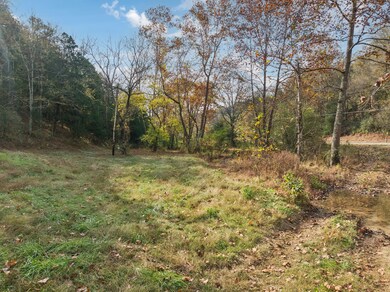 0 Club Springs Rd unit RTC3048648, Elmwood, TN 38560 - photo 5