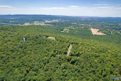 14 Acres Apache Rd NW, Huntsville, AL 35810 - photo 2