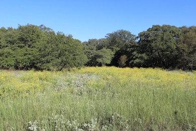 Lot 2 TBD County Road 2798, Alvord, TX 76225 - photo 3