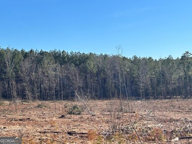 0 McGhee Rd unit 10453026, Sparta, GA 31087 - photo 4