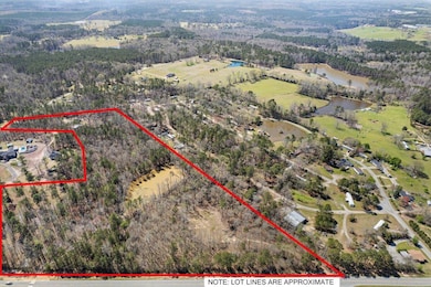 AERIAL WITH LOT LINES-5