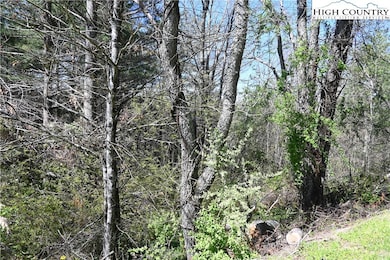 15 River Bend Hills Rd, Crumpler, NC 28617 - photo 4