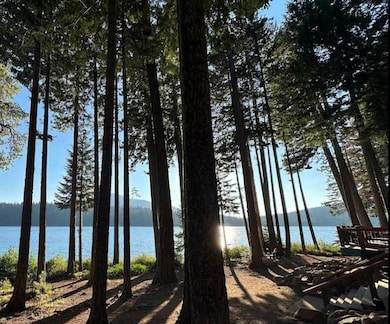 Terrypine Rd, Beatty, OR 97621 - photo 7