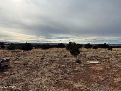 IMG-0803