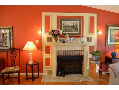 Living Room. Beautiful fireplace in living room.