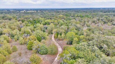 TBD S Highway 77, Rockdale, TX 76567 - photo 4