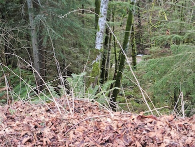 9999 E 5th St Lots 9-12 Blk 186, Port Angeles, WA 98362 - photo 7