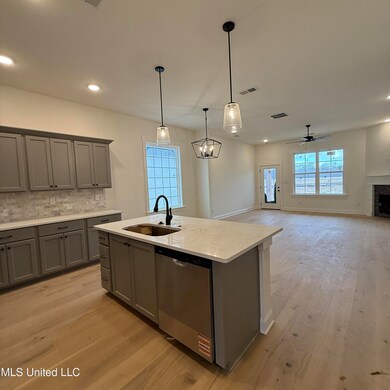 612 Bolivar Dr, Hernando, MS 38651 - photo 5