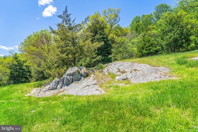 75 Battle Mountain Rd, Amissville, VA 20106 - photo 6