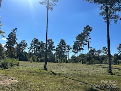 2.20 AC Harmony Church Rd unit 1, Edgemoor, SC 29712 - photo 3