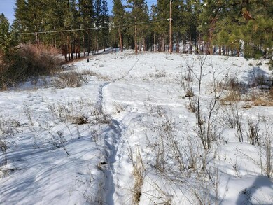 120 Railroad Ave, Alberton, MT 59820 - photo 4