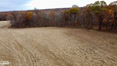 0000 Polston Ln, Hickory Grove Township, MO 63357 - photo 4