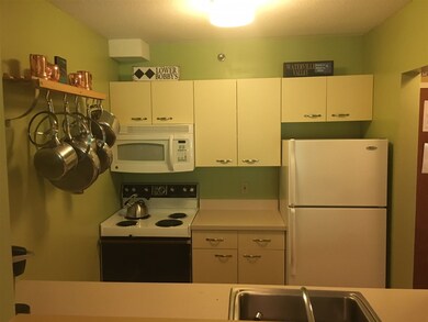 28 Packards Rd unit 108, Waterville Valley, NH 03215 - photo 6