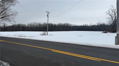 0 0 Knowlesville Rd, Alabama, NY 14125 - photo 2