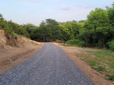 930 Thinwood Dr, Newport, TN 37821 - photo 6