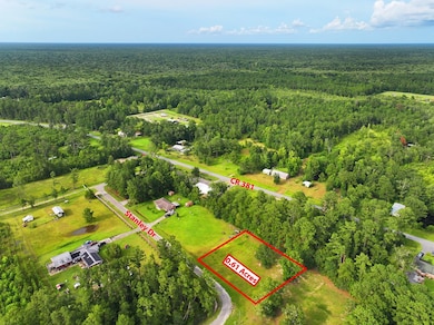 TBD Stanley Dr, Wewahitchka, FL 32465 - photo 5