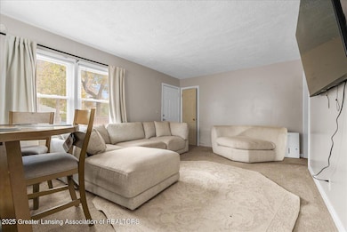 815 Woodbine Ave, Lansing, MI 48910 - photo 3