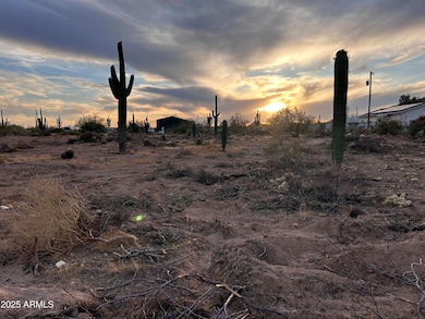 0 N Delaware Dr unit 6956478, Apache Junction, AZ 85120 - photo 6